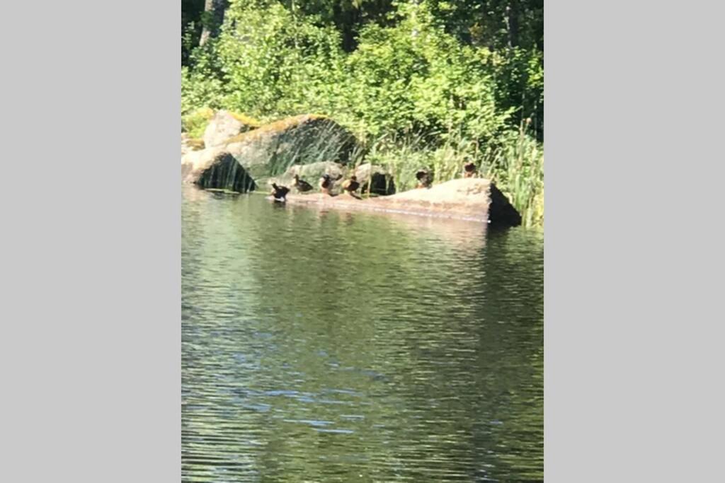Vacker Hus I Naturen Fröseke 外观 照片